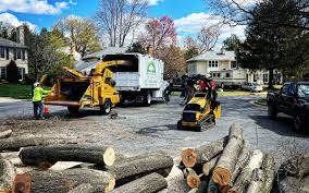 Reliable North Caldwell, NJ Tree Services Solutions